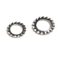 Haiyan Stainless Steel SS304 Ss316 External Teeth Serrated Lock Washer DIN6798