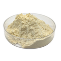 Wholesale Dried Powder Granules Dehydrated Garlic Tablets Dehydrated Garlic powder