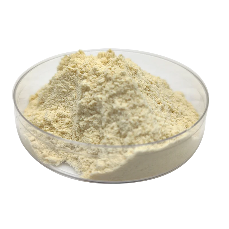 Wholesale Dried Powder Granules Dehydrated Garlic Tablets Dehydrated Garlic powder