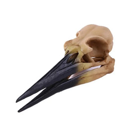 Wholesale Hand-painted Animal Resin for Sculpture SKD03 Dinosaur Bird Ornaments for Home Decoration