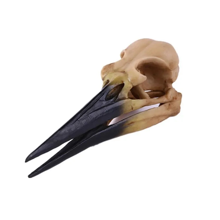 Wholesale Hand-painted Animal Resin for Sculpture SKD03 Dinosaur Bird Ornaments for Home Decoration