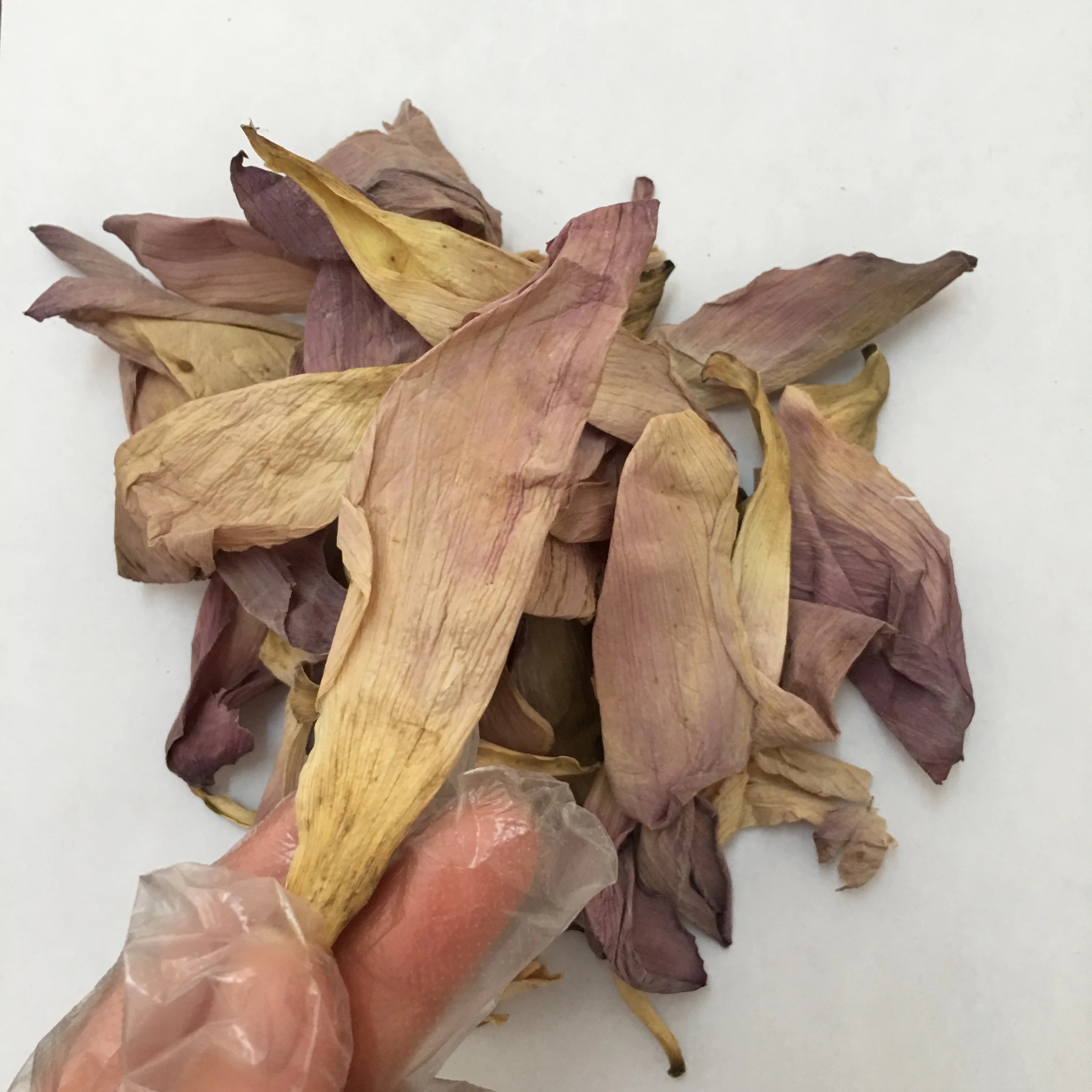 4008 He Hua Natural pink Lotus Flower Nelumbo Nucifera for Tea