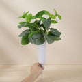 Wholesale Durable Glazed Plastic Vases for Home and Garden for Centerpieces Grave Flower Pots Flower Arrangement