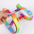Bulk Outdoor Easy Walking Pet Harness Neck Adjustable Durable Lightweight Multi Color Chest Harness for Dogs