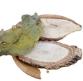 Nautral Pure Stauntonia Chinensis Herb Stem and Leaf of False Lychee Stauntonia Chinensis for Sale