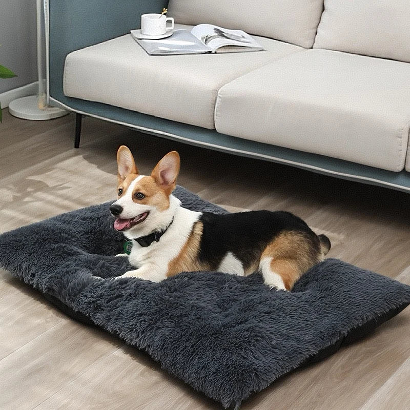 Long Plush Winter Warm Sleep Pet Mat Comfortable Cat Nest Dog Bed with Solid Pattern