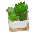 Dropshipping 3.3 Inch White Ceramic Succulent Plant Pots Cactus Flower Plant Pot Square Containers With Bamboo Tray