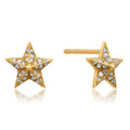 Milskye Engagement Jewelry for Women 925 Silver 18k Gold Plated Domed Diamond Star Stud Earrings