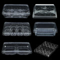 Custom Transparent Plastic Packaging Box Rectangle Food Grade Snack Container for Candied Biscuit