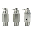 304 Stainless Steel Pneumatic Parts Safety Valve Relief-Pneumatic Safety Valve