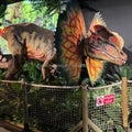Prehistoric Animals Dinosaur Amusement Park Moving Dinosaur Animatronics for Jurassic Dinosaur World MegaBDM