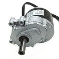 350W 12V 24V 48V 75rpm 120rpm 180rpm 200rpm Brush Motor Wheel Chair DC Gear Brushed Motor Large Torque Electric Motor