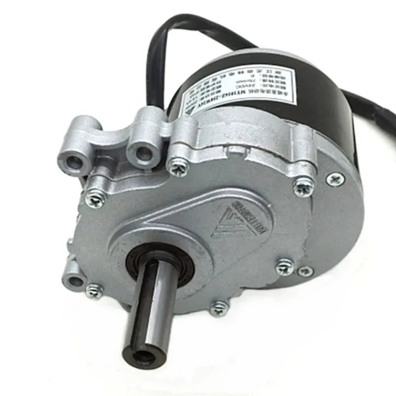 350W 12V 24V 48V 75rpm 120rpm 180rpm 200rpm Brush Motor Wheel Chair DC Gear Brushed Motor Large Torque Electric Motor