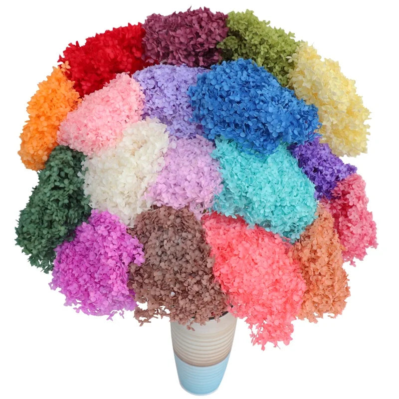 2025 Popular Hotsale Preserved Anna Hydrangea with Stem 20cm Mixcolor for Home Wedding Graduation Christmas Decor