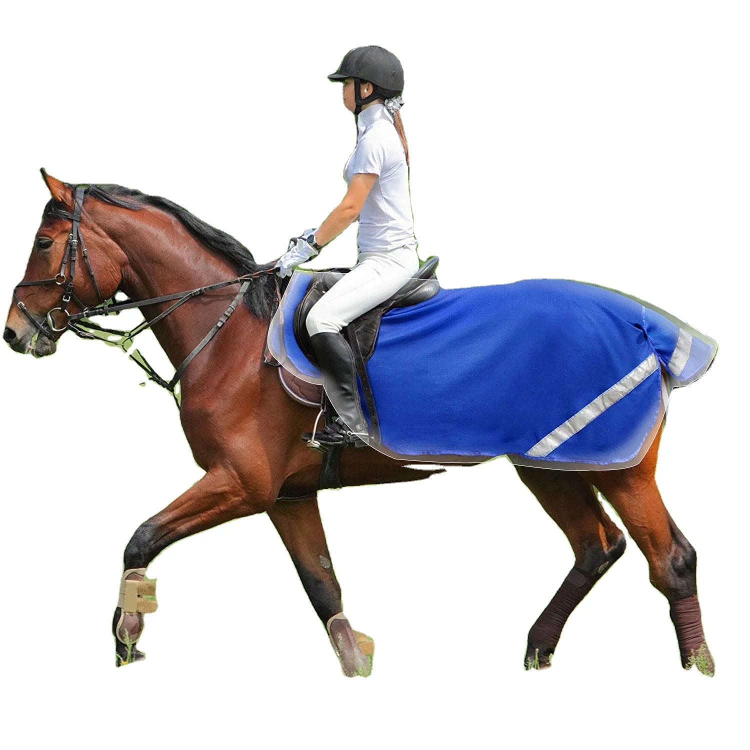 Wholesale Hot Selling Horse Stable Equipment Horse Rugs for Horse