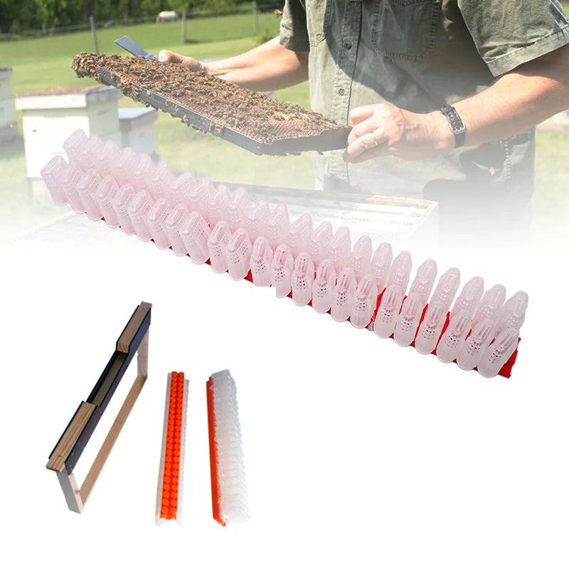 GREENVIVE QR43-2 JZBZ Queen Rearing Tools New Bar with 46 Mounted Cages Beekeeping Essential 1 Year Warranty 0.22kg