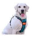 Portable Luxury Dog Harness Reflective Comfortable No Pull Designer Medium Polyester Personalized Fashion for Outdoor Walking