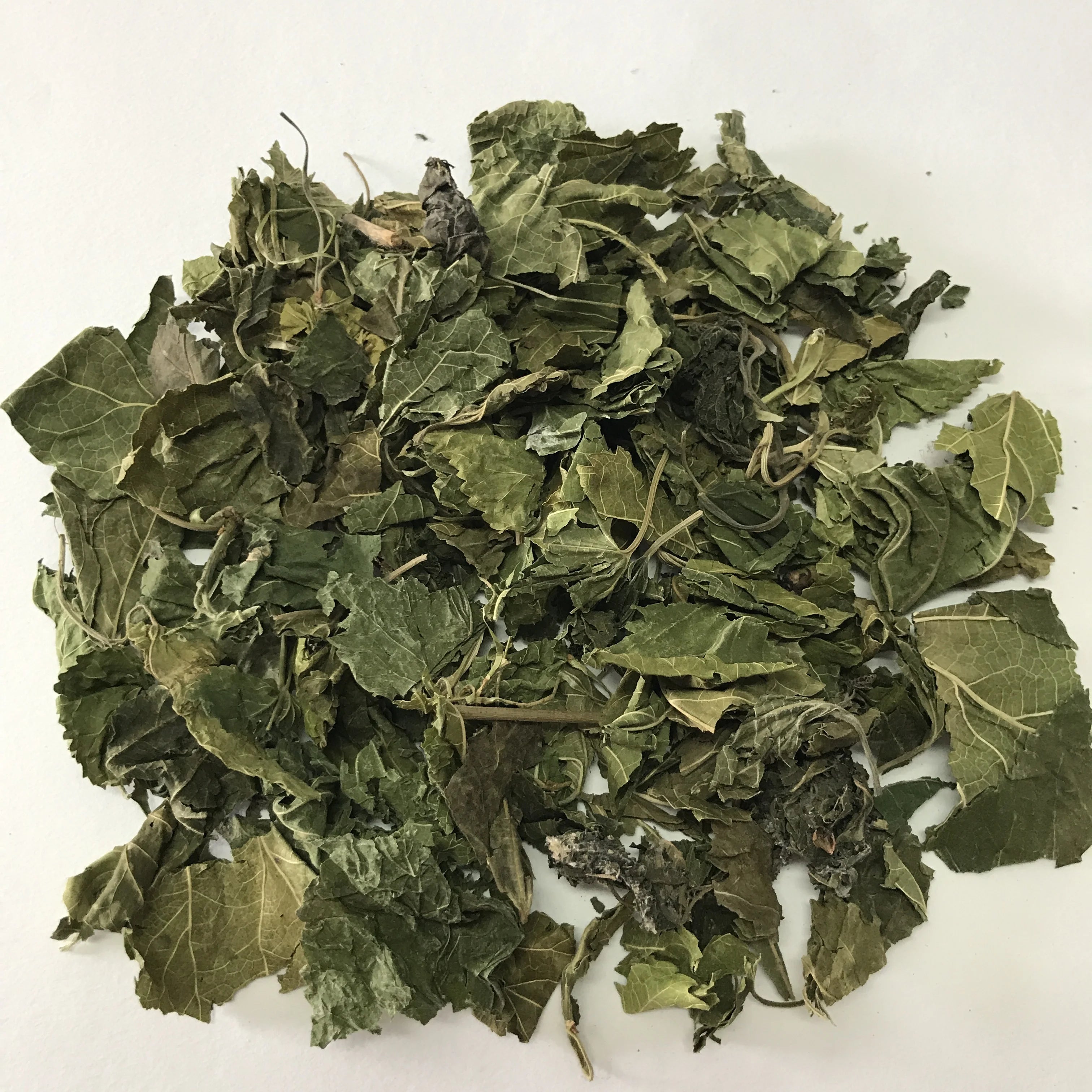 5001 Sang Ye Wholesale High Quality Dried Mulberry Leaf for Tea