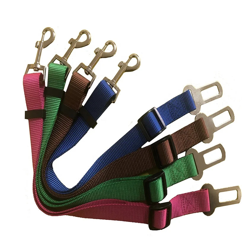 Adjustable Nylon Pet Leash Collar Harness Bandana Customizable Car Dog Seatbelt Lace Solid Breakaway Available Small Medium
