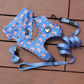 Pet Products Supply Soft Dog Collars Leash New Fashion Pet Lead With Neoprene Collar Set for Wholesale