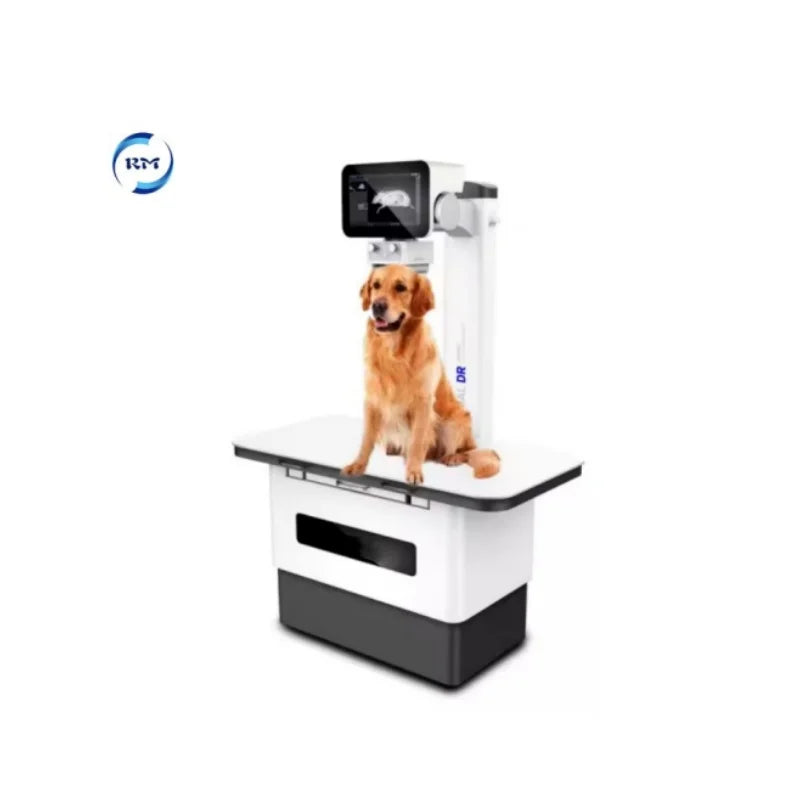 Animal X-ray Touch Screen X-ray Machine for Pet Clinic Veterinary Use Digital Vet DR X-ray Machine