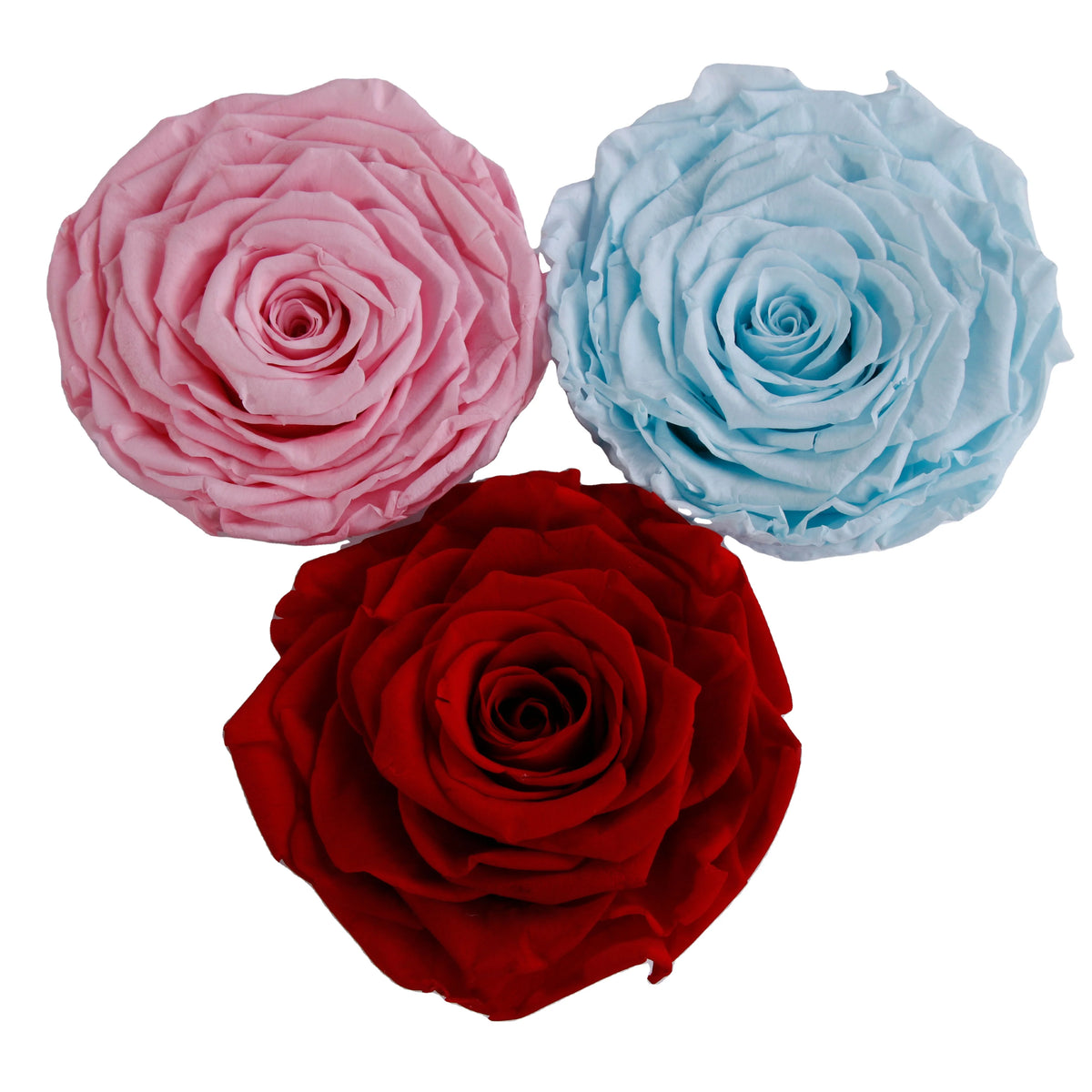 Wholesale Eternal Ecuadorian Preserved Roses Head 40 Colors 9-10cm Ball Shape for Wedding Party on Sale MegaBDM