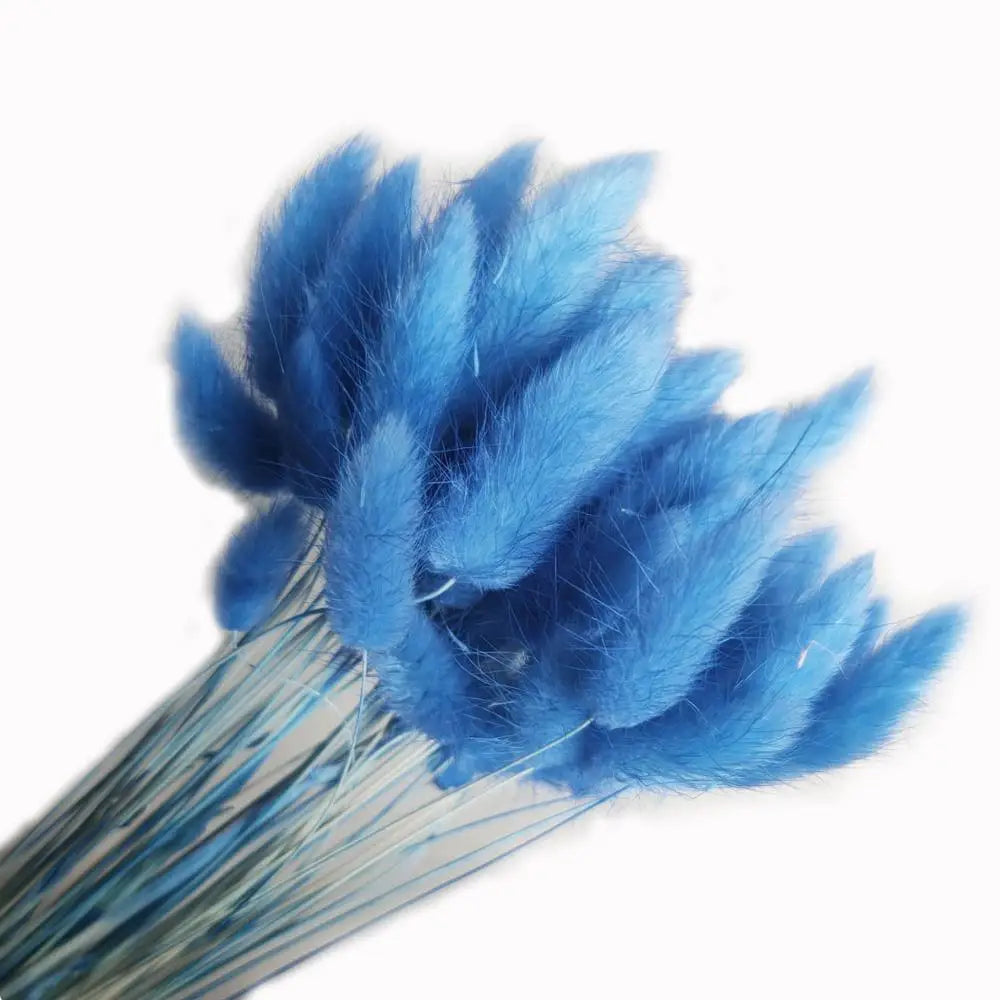 Preserved Eternal Forever Flowers Dried Lagurus Ovatus Bunny Rabbit Tail Grass