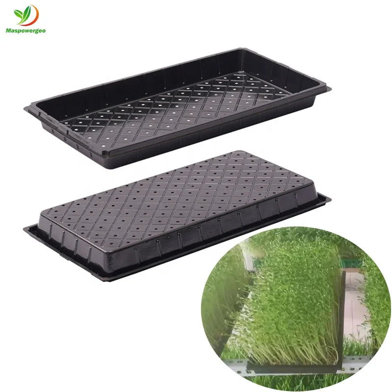 PS PVC Plastic 50mm 60mm Tall Seed Trays Planting Microgreen Seedling