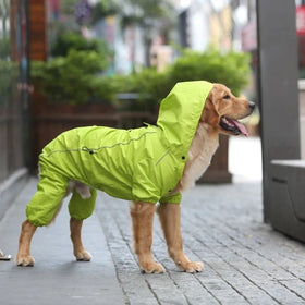 Wholesale Stocked Fashion New Raincoat Medium and Large Dog