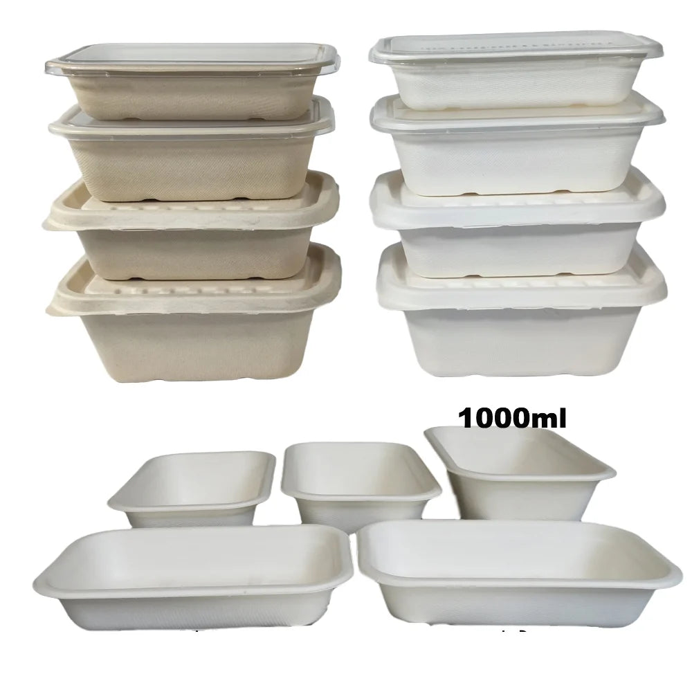 High Temperature Resistant Disposable Bagasse High-End Food Containers Heatable Pulp Takeaway Lunch Boxes Eco-Friendly Magnetic