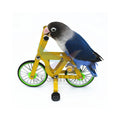 Mini Light Not Fall Four Wheeled Bird Toy Parrot Intelligence Training Plaything Interactive Funny Puzzle Bicycle