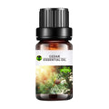 Atlas Cedarwood Essential Oil From Morocco - 100% Pure Natural Plant Extract Steam Distilled Fragrance Free | OEM 10mL