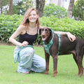 5 in 1 Corduroy Luxury Pet Handfree Set Breathable Vest Collar Leash Poop Bag Walking Outdoor Dog Harness Set