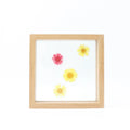 Wholesale Transparent Double Sided Glass Picture Wooden Frame and Acrylic Floating Photo Frame Wall Art