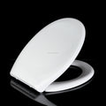 Good Quality Factory Wholesale WC Toilet Seat Cover Soft Close Hinge