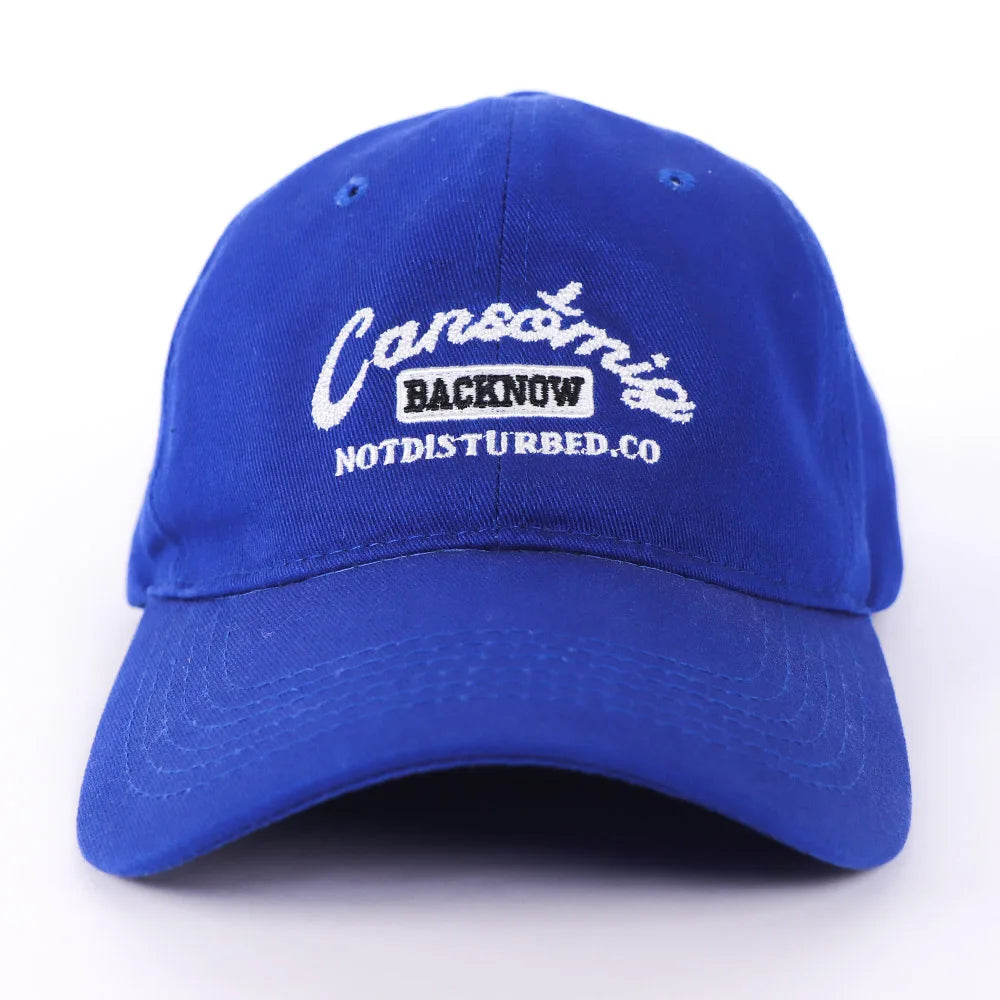 Snapback Caps Manufacturers Custom Embroidery Logo Original Designer Caps Trucker Hat with Custom Logo