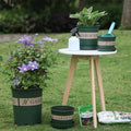 Wholesale 3 Gallon Round Black Green Nursery Pot for Greenhouse Seedling