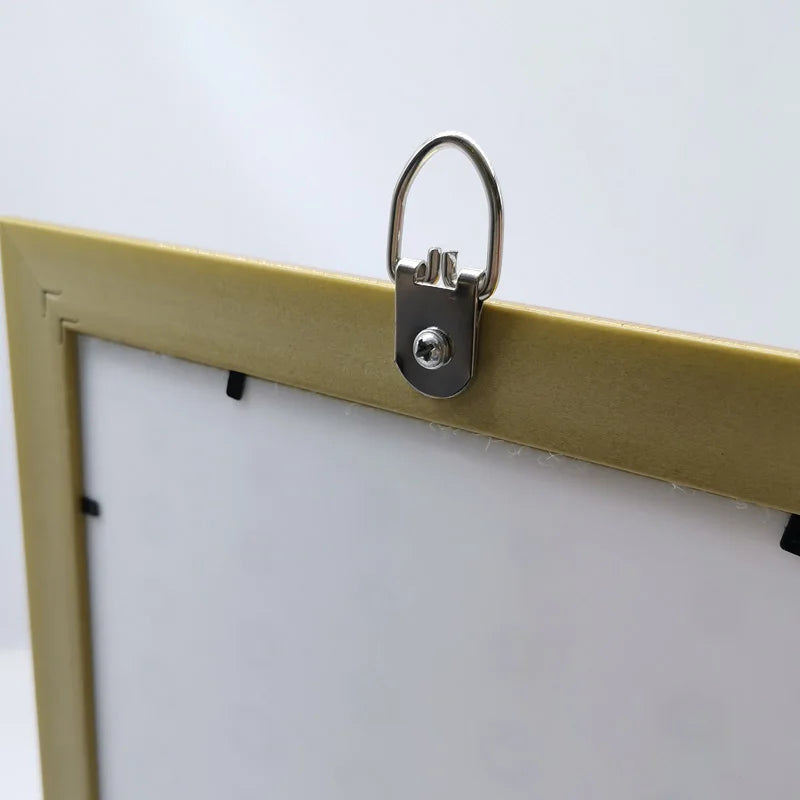 Eco-friendly Iron 16x46mm D Ring Single-hole Galvanized Photo Picture Frame Hanger Wall Hook with Box