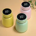 300ML 304 Stainless Steel Intelligent Display Temperature Thermos Vacuum Insulated Food Jar Food Thermo Cup Bottle
