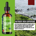 Free Sample Foodimmune Boosterraw Strawberry With Collagen Organic Sea Moss Zheshanda Tumeric Vegan Seamoss Gummies