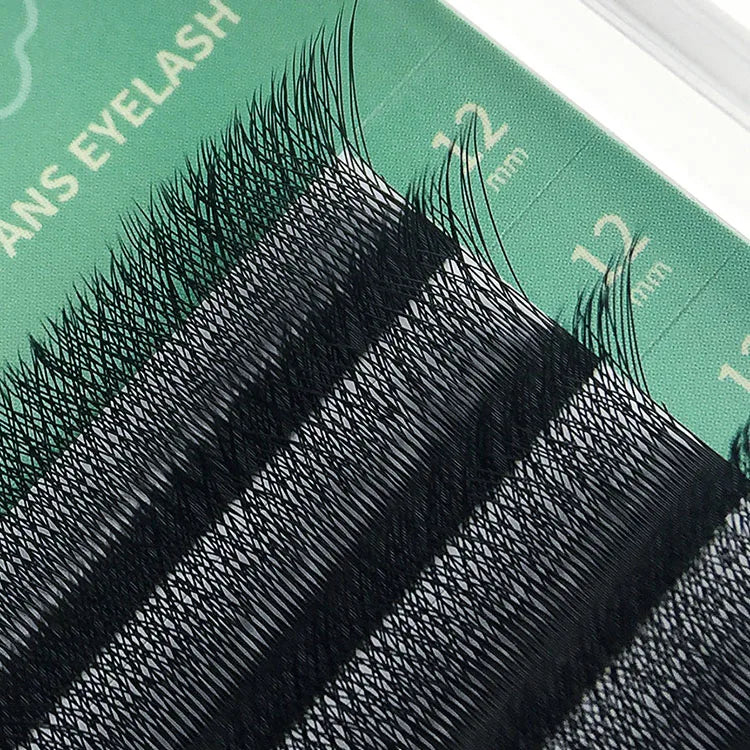 GLAMLASH W Lash Extensions Synthetic Fiber C D Curl Lash Extensions Suppliers Customized Eyelash