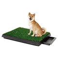 Portable Grass Puppy Pad for Dogs and Small Pets Training Pad with Tray