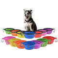Collapsible Dog Feeding Bowl Portable Foldable Dog Cat Travel Silicone Water Food Bowl with Carabiner Clip for Pet Walking