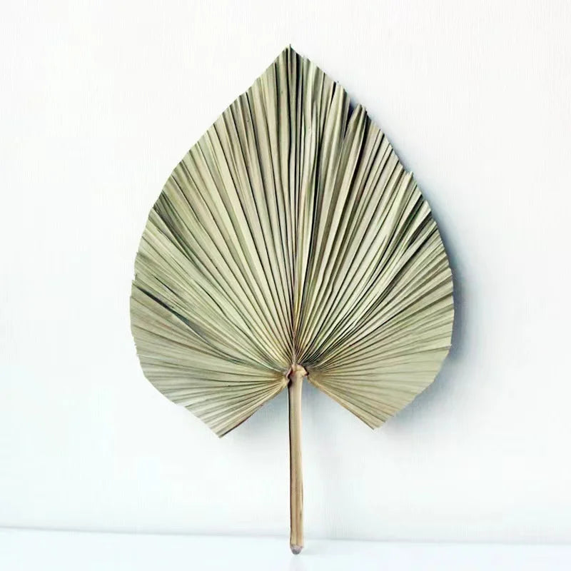 Papaya Leaf Fan Natural Cattail Leaf Fan for Home Party Wedding Decoration with customized size