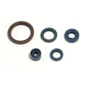Centauro Engine Oil Seal Kit for Husqvarna TE 450 03-09 TCV Piston Packing Shaft & TC Style Rubber Seal Rings