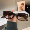 Cat Eye Oval Sunglasses Personalized Vintage Fashion Trendy Female Shades Popular Brand Designer Eyewear for Ladies (KSG173)