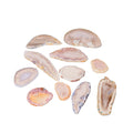 Wholesale Polished Healing Gemstone Natural Quartz Stones Agate Slices for Fengshui