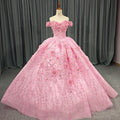 Off the Shoulder Quinceanera Dress Tulle 3D Handmade Flower Sweet 16 Girls Ball Gowns 6640