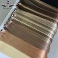 Beauty Girl Double Drawn Straight Silky Hair Bundle Highlights Dark Brown Cuticle Aligned Vietnamese Msmary Hair