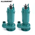110 or 220 Volt 60 HZ Cast Iron Life Head 16 Meter Electric Sump Pump with 10m3/h Capacity and 10bar Pressure